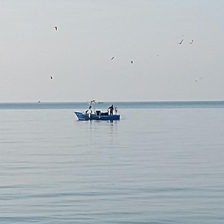Galene - Beachfront In Costa D'Amalfi Maiori Εξωτερικό φωτογραφία